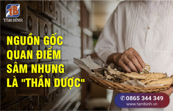 nguồn gốc quan điểm sâm nhung là thần dược chữa yếu sinh lý