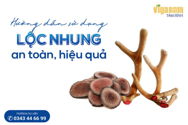 hướng dẫn sử dụng Lộc nhung