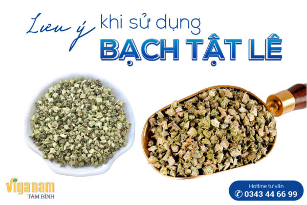 lưu ý khi sử dụng bạch tật lê